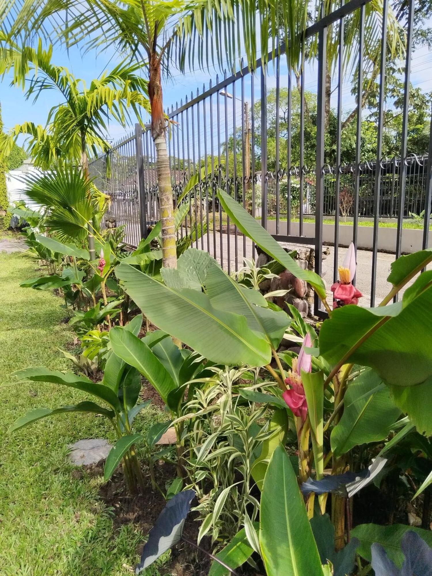 Doral House Villavicencio Bavaria Екстериор снимка